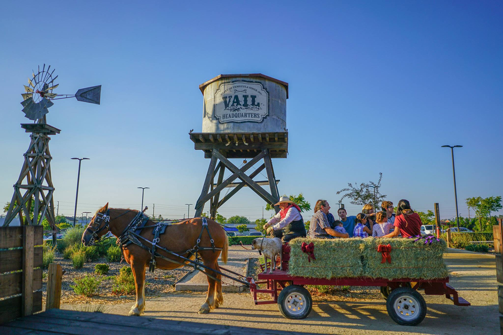 Visit Temecula Valley Celebrates Autumnfest with Food, Wine